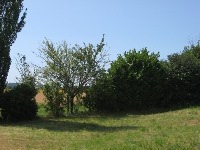 photo campagne