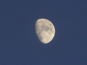 fete 2010 lune