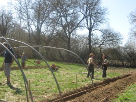 greenhouse construction