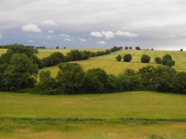 landscape around the farm