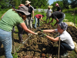pratique lors du stage de permaculture